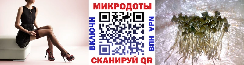 Псилоцибиновые грибы прущие грибы Тюмень